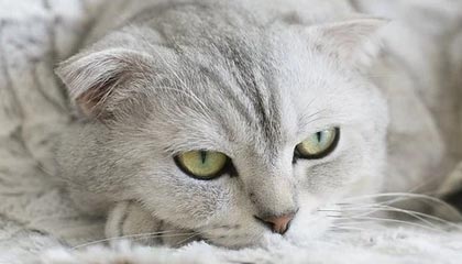 日土高价上海医保提取2025的最新政策(2025年日土上海医保怎么提取现金分享)