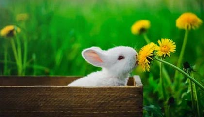 日土高价上海医保提取2025的最新政策(2025年日土上海医保怎么提取现金分享)